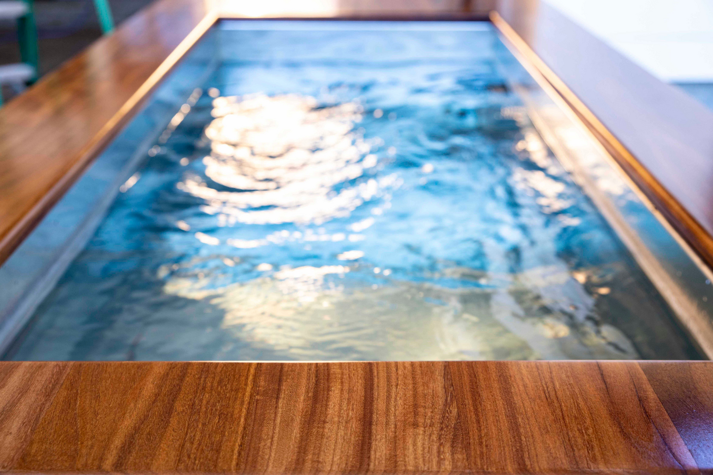 Blitzen Cold Plunge Tub